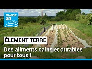 Des aliments sains et durables pour tous ! • FRANCE 24