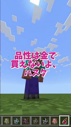 【マイクラ】コマンド利用で高速移動する方法 #いるクラ #マイクラ