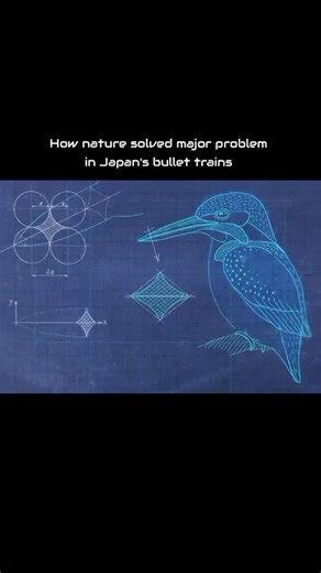 How nature slove the problem /secret behind bullet train/ #bullettrain #naturelovers