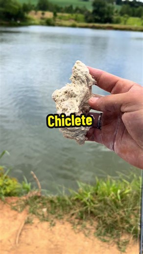 Como fazer uma massa de pão 🥖🎣 2kg farinha de trigo 20g fermento biológico 2 caixas de creme de leite 80g de queijo ralado 800ml de água • • • • • • • #pesca #pescaria #pescariaesportiva #fishing #tutorial