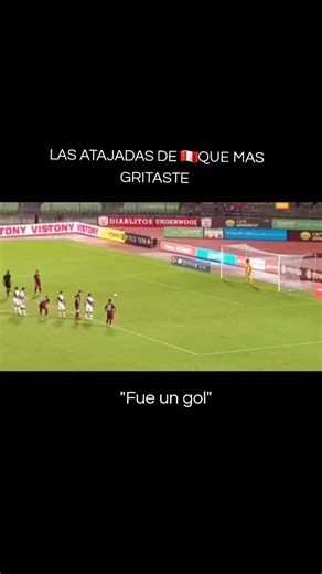 UNO DE LOS GRITOS MAS EUFORICOSS DEFINITIVAMENTE 👌 #hinchaperuano #pedrogallese #seleccionperuana #peru #futbol