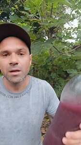 1.4M views · 33K reactions | Aprenda a Fazer Refrigerante Natural de Uva | Conexão Natural | Facebook