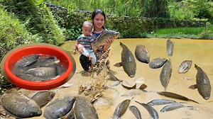 829K views · 22K reactions | Episode161 Harvesting Fish from self raised ponds, Processing to make Smoked Fish for long term preservation | Single mom Tv | Facebook