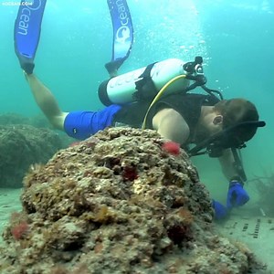 5.9M views · 729 reactions | Thanks to the help of the general public we have removed over 350,000 pounds of trash from the ocean. Our mission isn't over and we need your help. Help fund the removal of one pound of trash from the ocean today! | 4ocean | Facebook