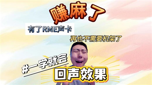【RME 声卡效果器保姆级使用技巧】一学就会的回声技巧
