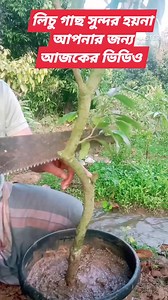 298K views · 3K reactions | #rain #viralreelsfb #reelsviral #গার্ডেনিং #WorldRadioDay #WomensHistoryMonth #StarsEverywhere #everyone #irisapfel | MD Saleh Ahmod | Facebook