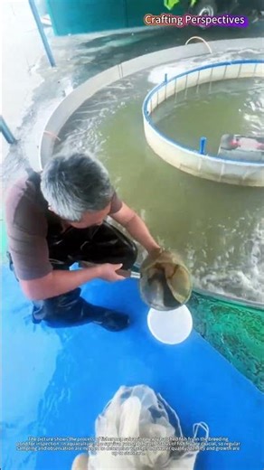 A net was picked up, and it was full of small fry.