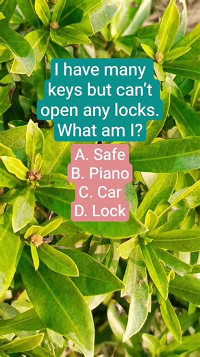 I have many keys but can’t open any locks.What am I?