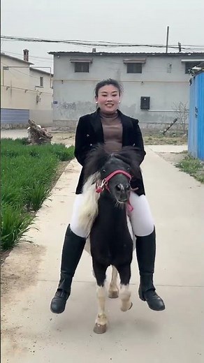 Endless Fun with a Growing Pony: A Day of Joyful Riding