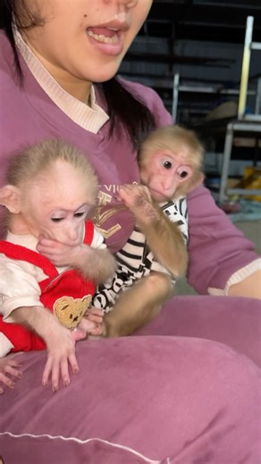 Monkey Lisa and Xuka