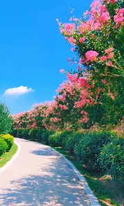 super beautiful - the way of love | Amazing Land