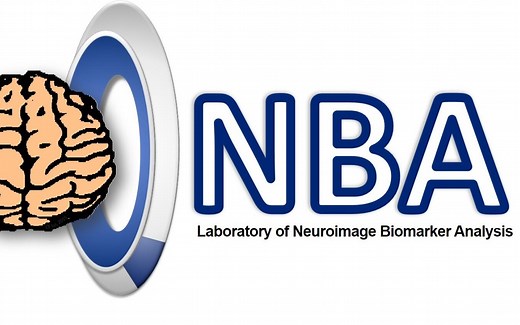 fMRI原理、预处理、统计分析与静息态fMRI分析（功能连接、ICA、ReHO、ALFF等）