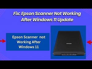 Fix Epson Scanner Not Working After Windows 11 Update