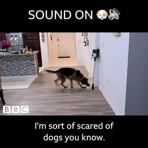 99K views · 624 reactions | BACK OFF JACK. | BBC One | Facebook