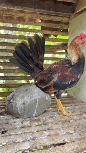 Stylish Pumpkin Sweater Fashion Ideas for Fall