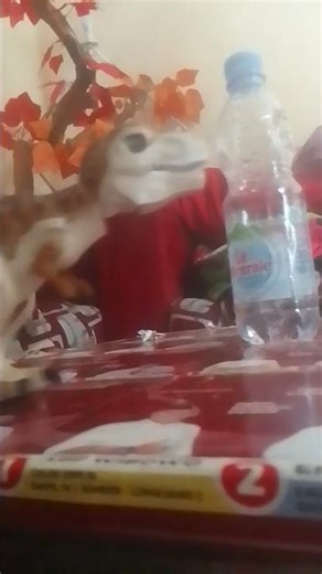 T rex roars Godzilla