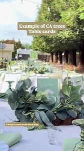 Wedding Table Cards / Texas Trees / Botanical Wedding Decor / Nature Wedding Decor / No Number Table Cards - Etsy Australia
