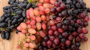 Bunches of grapes of different types - Free Stock Video