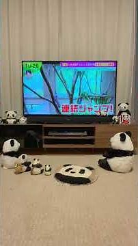 We provided koala footage for the Fuji TV program "Nonstop!" which aired on May 5th 🐨 You can wat...
