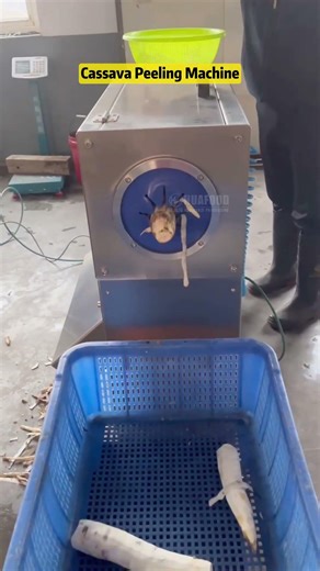 High-speed Cassava Peeling Machine #cassavapeeler #cassavapeelingmachine #cassavaprocessing