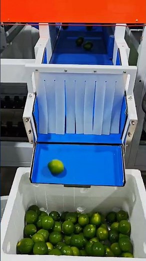 fruit sizer/Green lemon sizer/fruit sorting and grading machine # VSEE