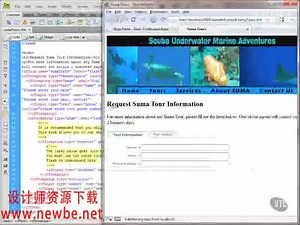 Adobe.ColdFusion.8.高级培训视频教程 (85)