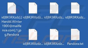 Pandora (TeslaRVNG) Ransomware