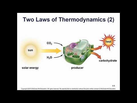 Bio 101 Chapter 6 Video Lecture