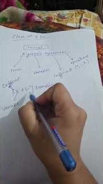 Class 7th, Algebraic expressions concept..