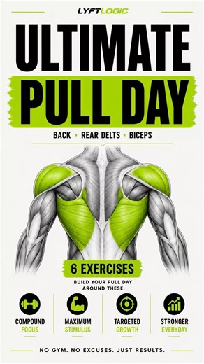 ULTIMATE PULL DAY | 6 Best Exercises for Back & Biceps 💪