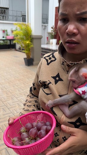 5.5K views · 151 reactions | Mom Take Baby Tauch To Eat Grape Outside #monkey #baby #babymonkey | Monkey Harry's Family | Facebook