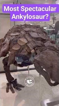 Edmontonia: Most Spectacular Ankylosaur Ever Found? #Edmontonia #dinosaur