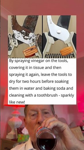 Clean Rusty Tools with Vinegar and Baking Soda: They Will Shine Like New.