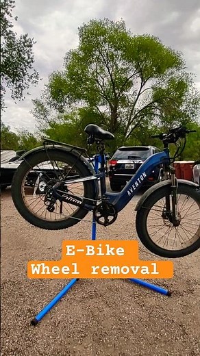 E-Bike Rear Wheel Removal - Rear Hub Motor Fat Bike 26"X 4" - Bosque Mobile Bicycle Repair Denver CO