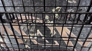 this is the vip center carats' pov under the moving stage during lmf performance of svt 🥹🥹 | Cheol's Aegi