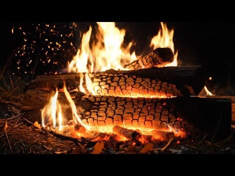 Cozy Campfire Night – Relax, Sleep & Unwind with Crackling Fire Sounds.