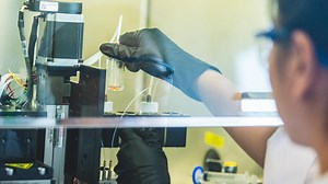 3D-printed skin closes wounds and contains hair follicle precursors | Penn State University