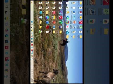 How to Design a University Web Page | Step by Step in HTML.... Part2