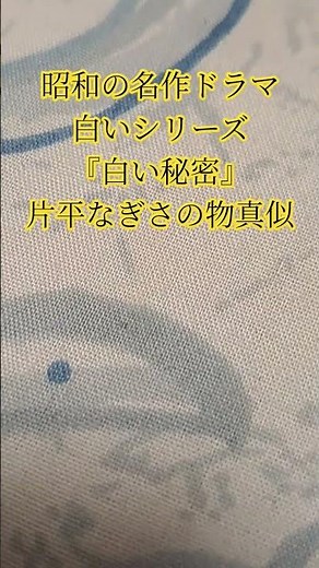 #昭和のドラマ #70年代ドラマ #白いシリーズ #片平なぎさ #青春ドラマ #田宮二郎 #名作ドラマ #役者 #俳優 #女優 #演技 #元子役 #物真似 #演劇 #高い演技力 #ドラマ再現 #舞台劇