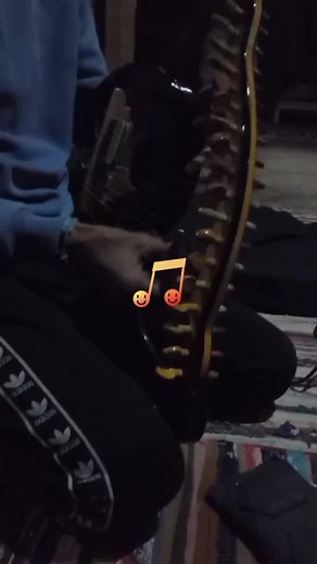 Captivating Harp Performance in a Cozy Setting