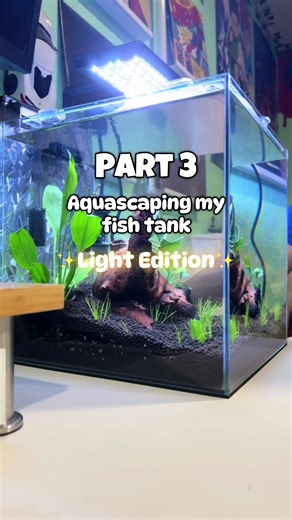 Aquascaping my Fish Tank: Light Edition Explained