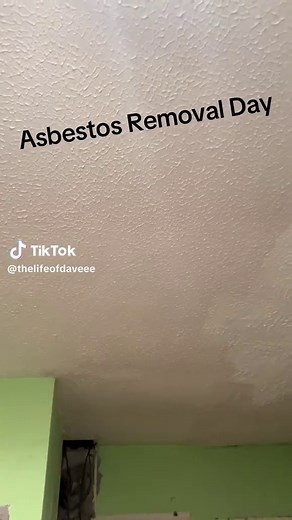 Effective Asbestos Removal Techniques for Home Renovation