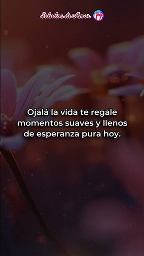✨ Buenos Días, Mi Amor 💖 Hoy mi corazón quiere decirte cuánto te ama – Mensaje romántico