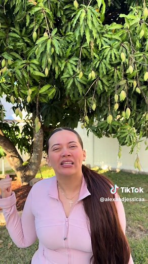 Mango Tree Surprise: Are These Baby Mangos Ripe?