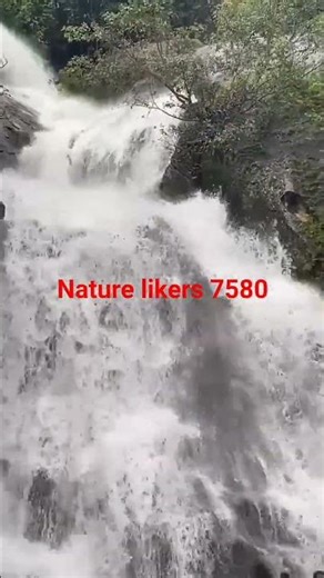 covai spot ! wonderful monkey falls #travel