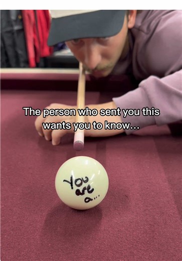 Wholesome Pointer Brothers Content