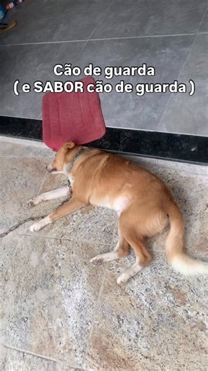 Douglas Barros on Instagram: "#viral #meme #shopee"