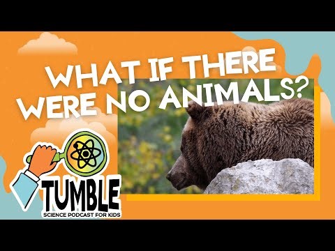 What If There Were No Animals? - Tumble Science Podcast for Kids