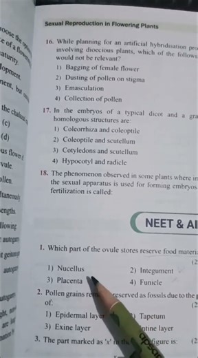 Sexual reproduction in flowering plants #Neet #pyq #biology