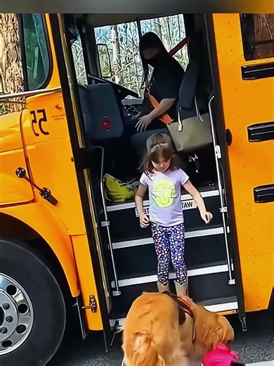 Dog eagerly greet owners coming home from school 🐶🐶#dog #dogbaby #puppy #animals #puppylife #usa